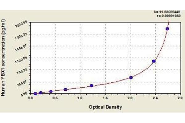 YBX1 ELISA Kit