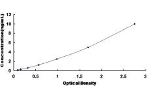 PCYOX1 ELISA Kit