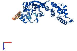 AlphaFold protein structure predicition of Human Recombinant DIMT1 Protein, UniprotID Q9UNQ2 (DIMT1 Protein (AA 1-313) (His tag))