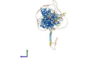 AlphaFold protein structure predicition of Human Recombinant DENND4B Protein, UniprotID O75064 (DENND4B Protein (AA 1-1496) (His tag))
