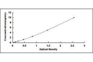 Mannose Receptor, C Type 1 (MRC1) ELISA Kit
