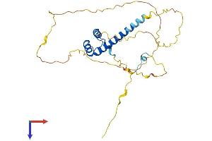 HMX2 Protein (AA 1-273) (His tag)