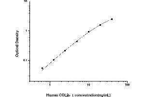 Typical standard curve (COL2A1 ELISA Kit)