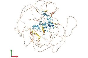 AlphaFold protein structure predicition of Human Recombinant ZEB1 Protein, UniprotID P37275 (ZEB1 Protein (AA 1-1124) (His tag))