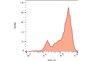 Flow cytometry analysis (intracellular staining) of BrdU incorporated into the K562 cells. (BrdU antibody  (PE))