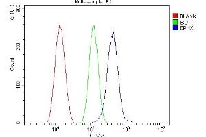 Flow Cytometry analysis of SiHa cells using anti-Epoxide hydrolase/EPHX1 antibody (ABIN7601696). (EPHX1 antibody  (AA 42-455))