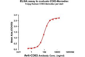 Elisa plates were pre-coated with Flag Tag CD63-Nanodisc (0. (CD63 Protein (CD63))