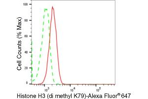 Flow cytometric analysis of Histone H3 (di methyl K79) expression in C2C12 cells using Histone H3 (di methyl K79) antibody (ABIN7798956), 1:2,000).