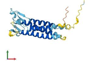 AlphaFold protein structure predicition of Human Recombinant PERP Protein, UniprotID Q96FX8 (PERP Protein (AA 1-193) (His tag))