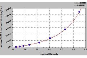 Flotillin 1 ELISA Kit