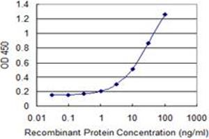 Detection limit for recombinant GST tagged EXOSC7 is 0. (EXOSC7 antibody  (AA 192-291))