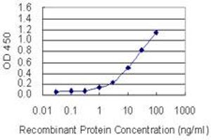 Detection limit for recombinant GST tagged PIGW is 0. (PIGW antibody  (AA 399-447))