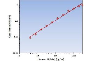 Chemokine (C-C Motif) Ligand 3 (CCL3) ELISA Kit