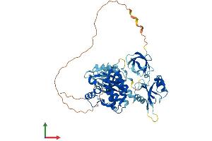 AlphaFold protein structure predicition of Human Recombinant TXK Protein, UniprotID P42681 (TXK Protein (AA 1-527) (His tag))