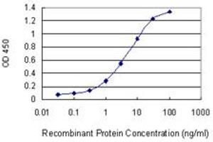 Detection limit for recombinant GST tagged PGBD1 is 0. (PGBD1 antibody  (AA 241-350))
