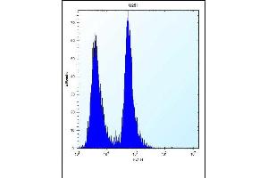 Antibody (N-term) (ABIN656739 and ABIN2845963) flow cytometric analysis of  cells (right histogram) compared to a negative control cell (left histogram). (SEL1L3 antibody  (N-Term))