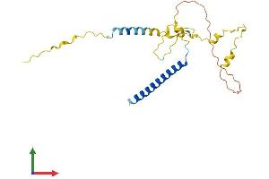 AlphaFold protein structure predicition of Human Recombinant MBD3L3 Protein, UniprotID A6NE82 (MBD3L3 Protein (AA 1-208) (His tag))