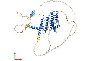 AlphaFold protein structure predicition of Mouse Recombinant Terf2 Protein, UniprotID O35144 (TRF2 Protein (AA 1-541) (His tag))