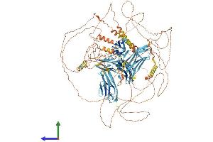 Protein Structure (PS) image for Myopalladin (MYPN) (AA 1-1315) protein (His tag) (ABIN7563802)