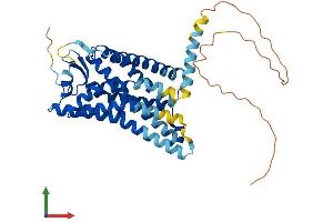 AlphaFold protein structure predicition of Human Recombinant PTGDR2 Protein, UniprotID Q9Y5Y4 (Prostaglandin D2 Receptor 2 (PTGDR2) (AA 1-395) protein (His tag))