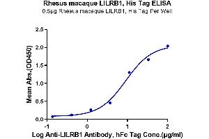 Immobilized Rhesus macaque LILRB1, His Tag at 5 μg/mL (100 μL/well) on the plate.