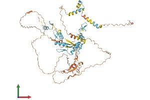 AlphaFold protein structure predicition of Human Recombinant ZNF653 Protein, UniprotID Q96CK0