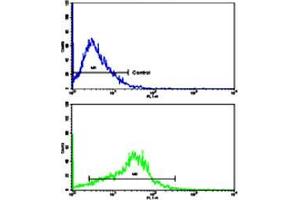 Flow cytometric analysis of HepG2 cells using APP polyclonal antibody (bottom histogram) compared to a negative control cell (top histogram). (APP antibody  (N-Term))