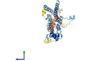 AlphaFold protein structure predicition of Mouse Recombinant Tmem236 Protein, UniprotID A2ARJ3
