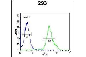 KCTD21 Antibody (C-term) (ABIN651600 and ABIN2840317) flow cytometric analysis of 293 cells (right histogram) compared to a negative control cell (left histogram). (KCTD21 antibody  (C-Term))