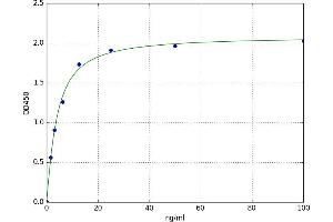A typical standard curve