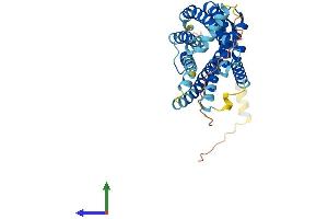 AlphaFold protein structure predicition of Human Recombinant CXCR3 Protein, UniprotID P49682 (CXCR3 Protein (AA 1-368) (His tag))