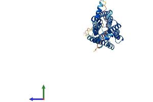 AlphaFold protein structure predicition of Human Recombinant RRH Protein, UniprotID O14718 (Peropsin Protein (RRH) (AA 1-337) (His tag))