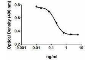 ELISA image for Transforming Growth Factor, beta 3 (TGFB3) (AA 301-412) (Active) protein (ABIN2666748) (TGFB3 Protein (AA 301-412))