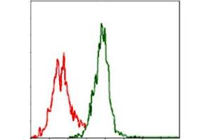 Flow cytometric analysis of Jurkat cells using ASS1 monoclonal antibody, clone 2B10  (green) and negative control (red).