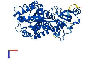 GDA Protein (AA 1-454) (His tag)