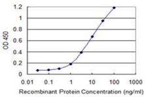 Detection limit for recombinant GST tagged OTOP2 is 0. (Otopetrin 2 antibody  (AA 423-493))
