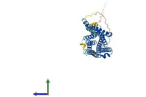 AlphaFold protein structure predicition of Mouse Recombinant Mrgprb5 Protein, UniprotID Q91ZB9 (MRGPRB5 Protein (AA 1-322) (His tag))
