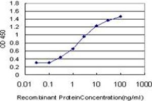 Detection limit for recombinant GST tagged PLEKHG5 is approximately 0. (PLEKHG5 antibody  (AA 896-995))