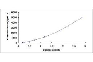 Typical standard curve (FGF1 ELISA Kit)