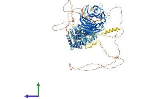 Protein Structure (PS) image for SEC31 Homolog B (SEC31B) (AA 1-1179) protein (His tag) (ABIN7555336)
