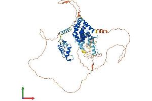 AlphaFold protein structure predicition of Human Recombinant NR1D2 Protein, UniprotID Q14995