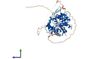 AlphaFold protein structure predicition of Mouse Recombinant Rnmt Protein, UniprotID Q9D0L8 (RNMT Protein (AA 1-465) (His tag))