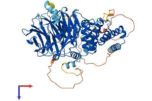 AlphaFold protein structure predicition of Human Recombinant WDTC1 Protein, UniprotID Q8N5D0 (WDTC1 Protein (AA 1-677) (His tag))