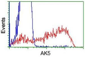 Flow Cytometry (FACS) image for anti-Adenylate Kinase 5 (AK5) antibody (ABIN1496533) (Adenylate Kinase 5 antibody)