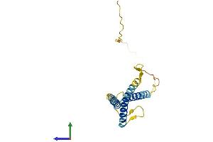 AlphaFold protein structure predicition of Mouse Recombinant Slc31a1 Protein, UniprotID Q8K211