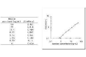 ELISA image for Von Willebrand Factor (VWF) ELISA Kit (ABIN579871)