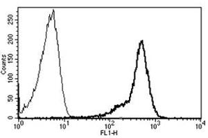 Flow Cytometry (FACS) image for anti-CD44 (CD44) antibody (FITC) (ABIN1106384) (CD44 antibody  (FITC))