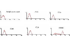 ELISA image for Mouse anti-Rat IgM antibody (PE) (ABIN371248) (Mouse anti-Rat IgM Antibody (PE))