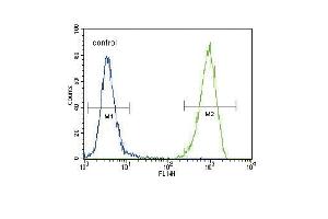 FLT3 (C) Antibody (N-term) (ABIN391981 and ABIN2841772) flow cytometric analysis of 293 cells (right histogram) compared to a negative control cell (left histogram). (FLT3 antibody  (N-Term))