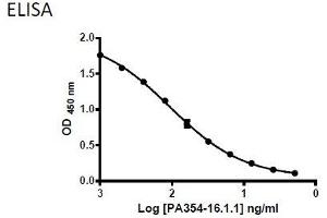 Coating Antigen: 6xHis-MBP-BMP4 recombinant protein (ABIN2703604) 5 µg/mL  Primary Antibody: Mouse Anti-BMP4 (PA354-16. (BMP4 antibody  (AA 25-408))